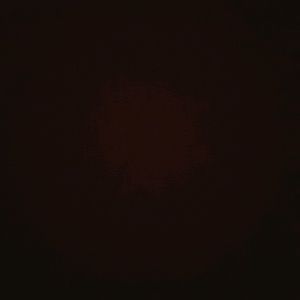 Meet your Posher, Liz